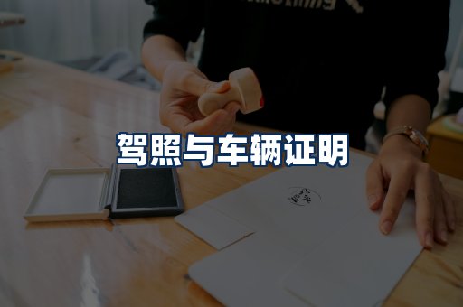 车辆证明展示